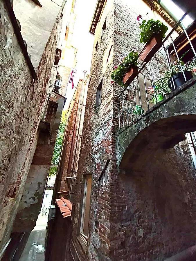 Piazza Napoleone Sweet Apartment Lucca 0*,  Italy